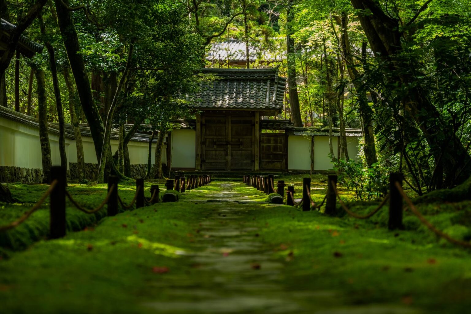 苔寺で有名な西芳寺♪感動の圧倒的絶景を写真・動画でご紹介 | Fantabi〜京都の旅を楽しくするブログ〜